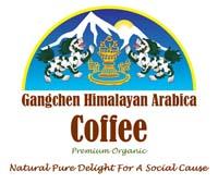 Coffea Arabica - Most Important Species