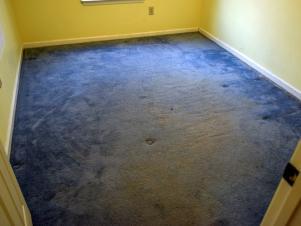 Use Damp Mop - Clean Up Spills As Soon