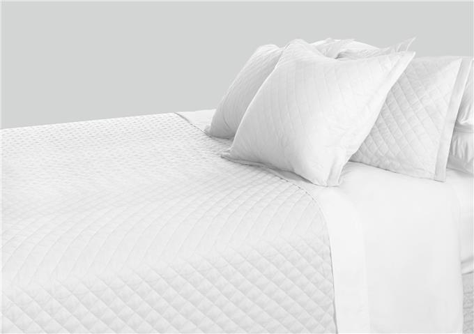 Adds Modern - Softer Than 800-thread Count Cotton