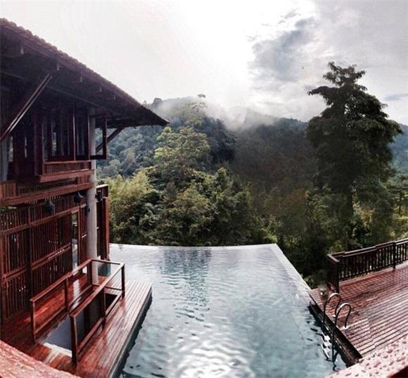 Rainforest - Mutiara Resort Taman Negara