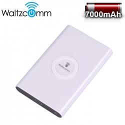 Power Bank - Working Frequency 110-205khz
