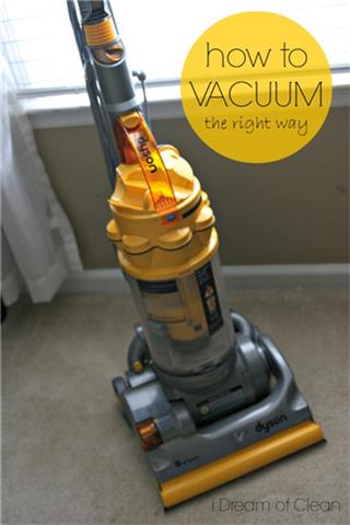 Dust Bunnies - Vacuum Cleaner