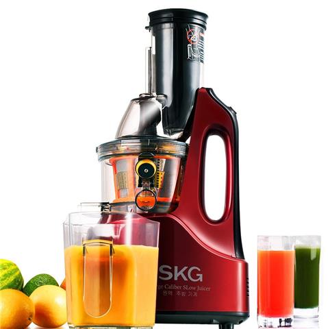 Slow Juicer - Stainless Steel